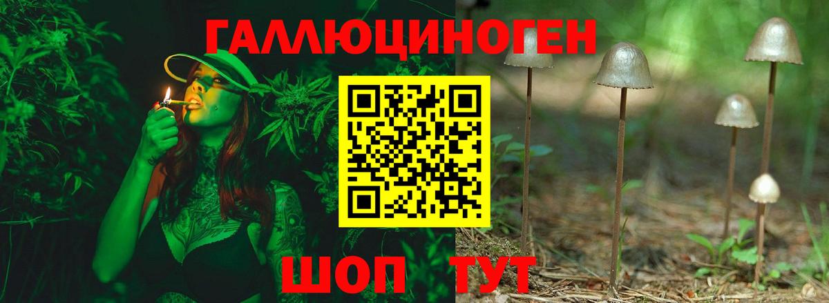 Ипатово  Галлюциногенные грибы GOLDEN TEACHER  Псилоцибиновые грибы мухоморы  Вход с VPN 